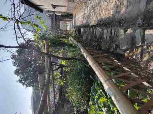 埭头古村旅行图片