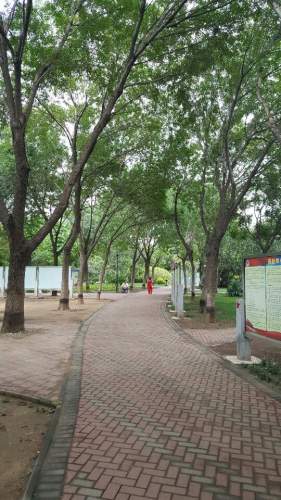珠江公园旅行图片