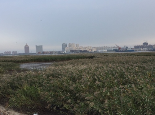 永远角湿地旅行图片