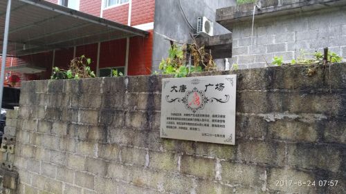 弄王大唐广场旅行图片