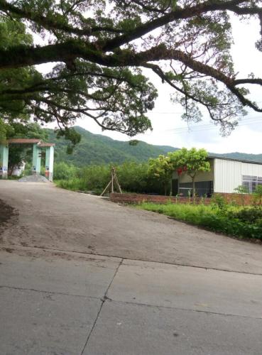 紫云山风景区旅行图片