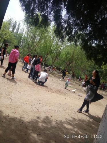 胜利公园旅行图片