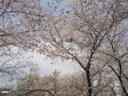 海曙公园旅行图片