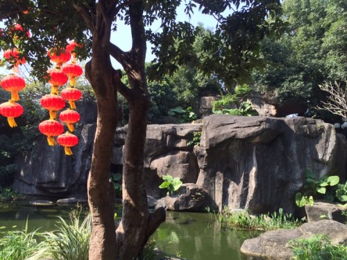 泥岗公园旅行图片