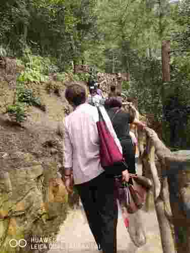 五华山旅游区崖壁秋千、双凤桥旅行图片