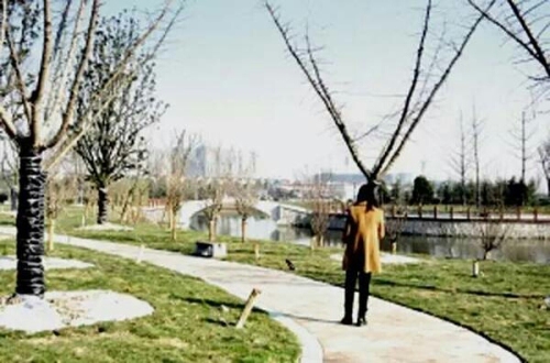 印溪生态湿地公园旅行图片
