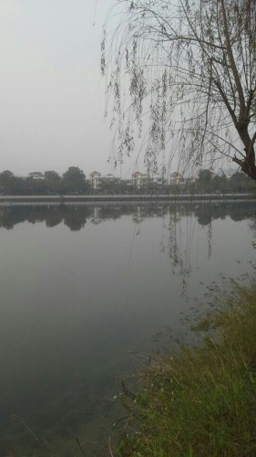 碧莲湖公园旅行图片
