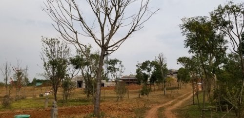 庐州文化村旅行图片