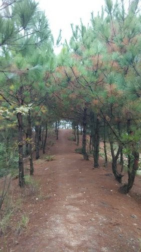 灵翠山公园旅行图片