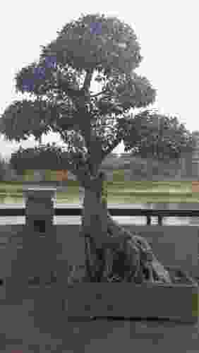 河岛公园旅行图片