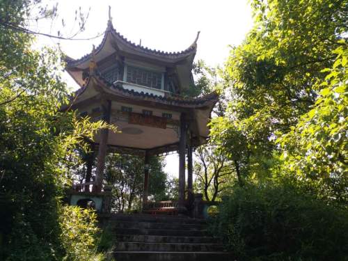 西屏山公园旅行图片