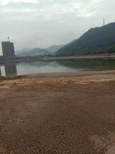 碧莲湖公园旅行图片