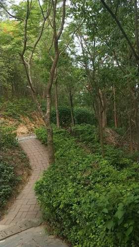 鹅公岭社区公园旅行图片