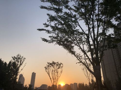 小马沟景观绿廊旅行图片
