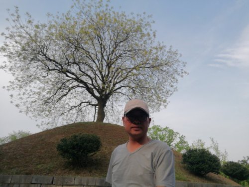 古皋陶墓旅行图片