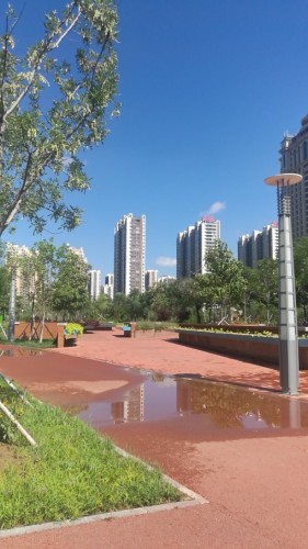 双金公园旅行图片