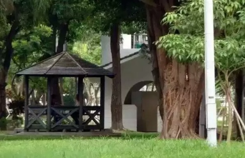 民生公园旅行图片