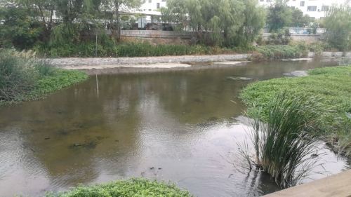 山海天湿地公园旅行图片