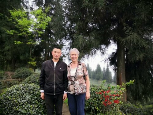 蒙顶山禅茶石旅行图片