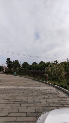 瓯江口新月公园旅行图片