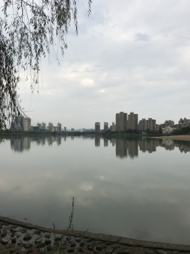 淠阳湖公园旅行图片