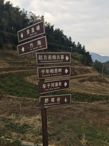 衡山野莓谷旅行图片