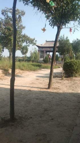 岱岳祠(张瓮庙)旅行图片