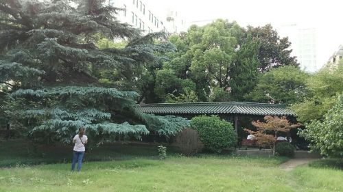 颐园旅行图片