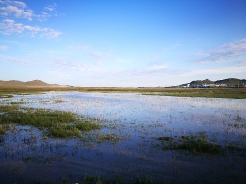 嘎达布其镇天然湿地景观旅行图片