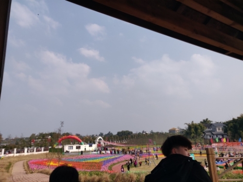 武胜梦田花海旅行图片