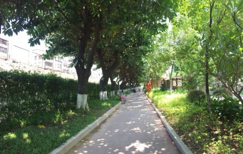 三水文化公园旅行图片