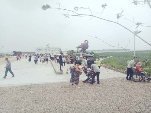 草原神画旅行图片