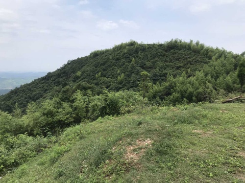 五峰仙庵子旅行图片