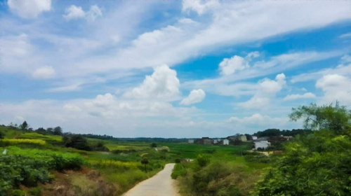上福新村万和文化广场旅行图片