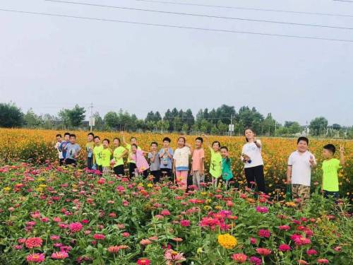 山后韭菜生态休闲农业园旅行图片