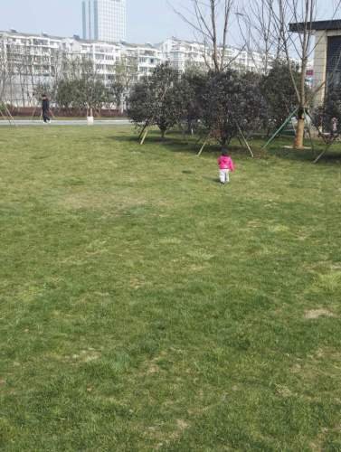 夏禹公园旅行图片