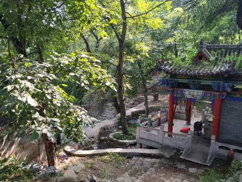 银圆山庄景区旅行图片