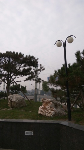 玉兰闹春旅行图片