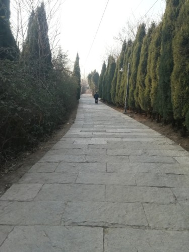 白云山公园旅行图片