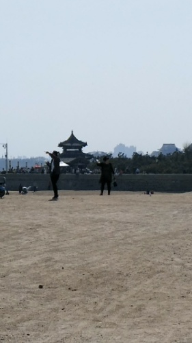 蓬莱水城旅行图片