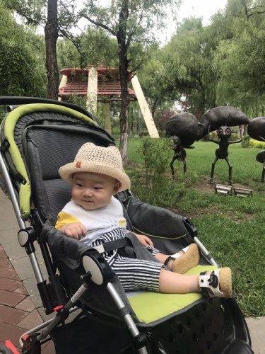 林苑公园旅行图片